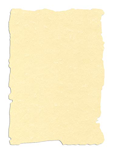 APLI SCL2058D - Papel pergamino champán precortado A4 95 g 10 hojas