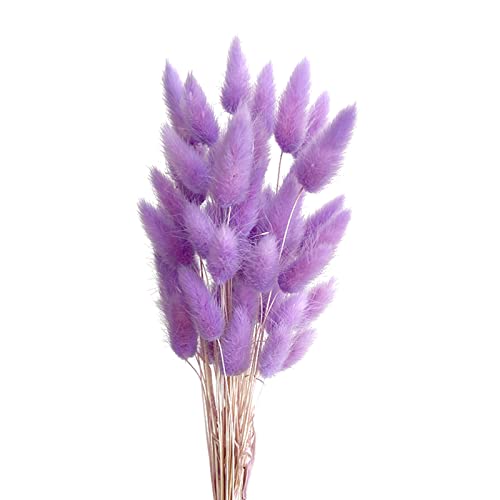 Secas Naturales Cola De Conejo Flor, FENGCHUANG-Hierba de Pampas Secas, 50 Pcs Esponjosas Ramo de Flores para La Sala de Estar del Hogar Decoración de Racimos de Flores (Morado Claro