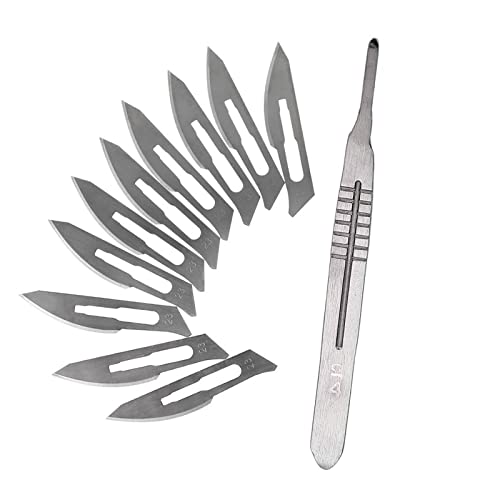 Hojas De Bisturi,Bisturi Podologo Profesional,Bisturi Desechable,10 Cuchillas De Bisturí – Hojas De Repuesto Para Bisturí Hechas De Acero Al Carbono + 1 Soporte Para Bisturí – Acero Inoxidable