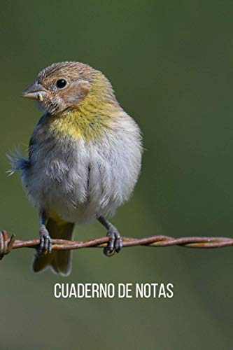 Cuaderno de notas Canario: Diario de composición con líneas. Cuaderno de Canario 100 páginas.