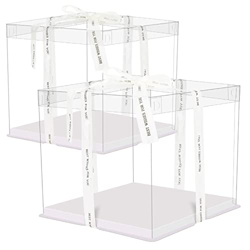 Weinsamkeit 2pcs 10 Pulgadas Caja de Tartas Transparente, Caja de Pastel de Doble Capa Cajas de Presentación de Plástico con Base y Cinta Caja de Embalaje de Panadería para Postre（31.5*31.5*25cm）