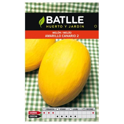 Melon AMARILLO CANARIO