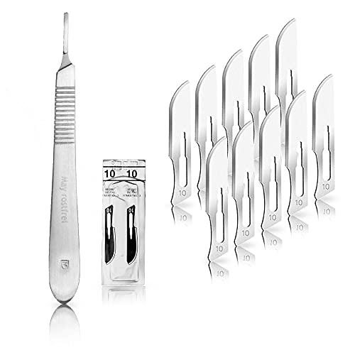 Set - 10 piezas hojas de bisturí No. 10 y mango de bisturí No. 3 - Hojas de repuesto para bisturí hechas de acero al carbono - Estéril