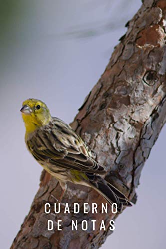 Cuaderno de notas Canario: Diario de composición con líneas. Cuaderno de Canario 100 páginas.