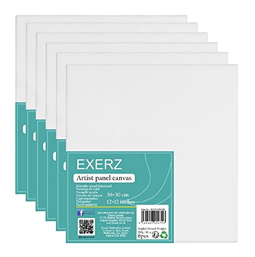 EXERZ 30x30cm Paneles de Lienzos 6 piezas - 0,3cm de Espesor/Lienzos 280GSM / 100% Algodón - Color Blanco/Triple Preparado/Libre de Acido/Hebra Media / - acrílicos & óleo
