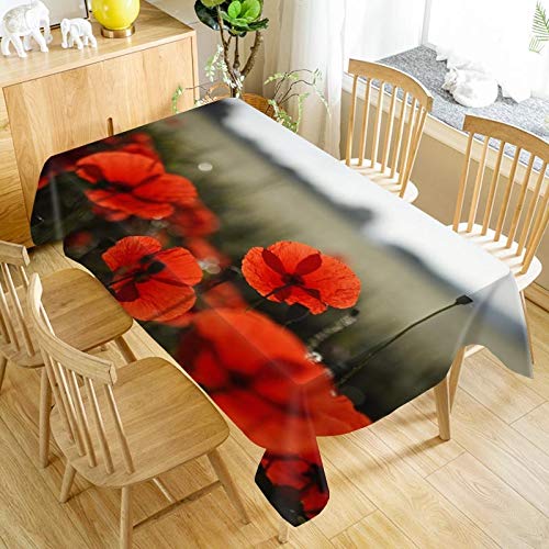 XXDD Mantel de Flores de Amapola roja Que Imprime Impermeable y a Prueba de Aceite para el hogar Rectangular Cubierta de Mesa Cuadrada Mantel a Prueba de Polvo A7 150x210cm