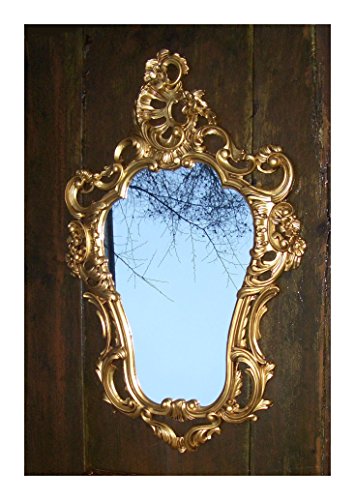 Lnxp Espejo de pared exclusivo de estilo barroco antiguo, estilo retro, 50 x 76, decoración de pared