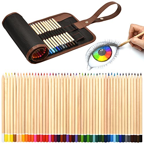 Artina Set de lápices de Colores Torino 49 Piezas en Estuche Enrollable - Lápices de Dibujo para Pintar y esbozos fantástico - para jóvenes a Partir de 14 años