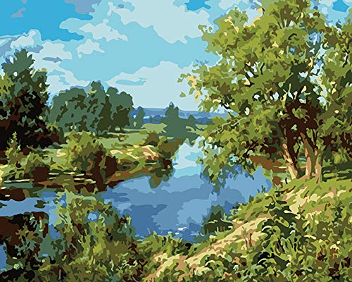 Pintar por números para niños adultos kit de pintura al óleo DIY Principiante - Paisaje ribereño 1145