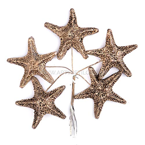 Artipistilos® Estrella De Mar De Porcelana Fría 3,5 Cm - Bronce - Flores De Porcelana