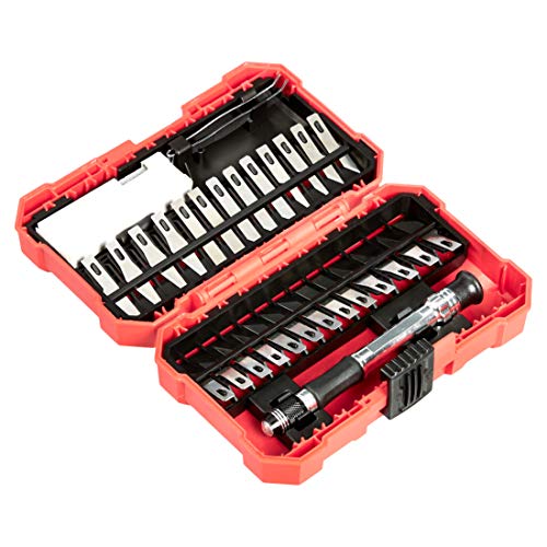 Amazon Basics Juego de cuchillos de precisión de 29 piezas, paquete de 1, Aluminio