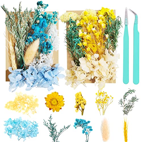 RUIJIE Flores Secas Naturales, 2 Piezas Juego de Flores Secas, Flores Secas Manualidades, Flores Preservadas, Flores Secas Mezcladas para Resina DIY Decoración Joyería Vela Arte de uñas Scrapbooking