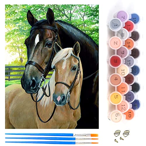 YAOYIN Pintura por Números Adultos Niños Principiantes, Niñas con Pinceles y Pigmento Acrílico, Kit de Pintura al óleo Pintado a Mano para Regalo, Decoración del Hogar (Caballo, 40x50cm)