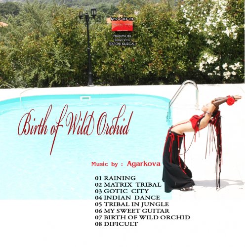 Birth of Wild Orchid