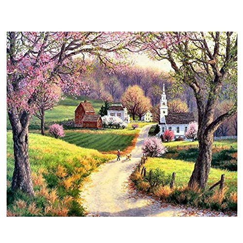 Pintar con Numeros Cuadro Pintar por Numeros Adultos Preimpreso Pintar por Numeros Adultos Paisajes Pintura Al ÓLeo para Adultos Y Estudiante Principiantes