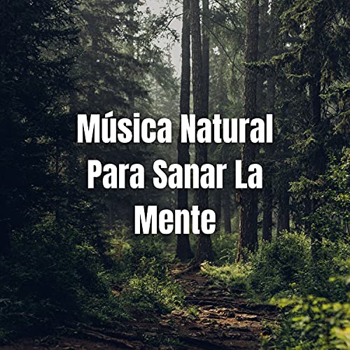 Bosque Verde