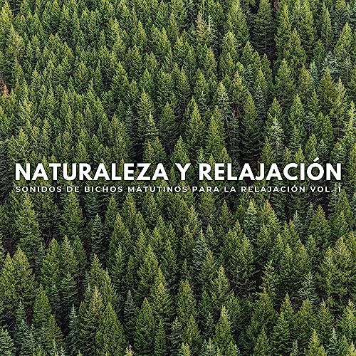 Sonidos De Bichos Del Bosque Verde