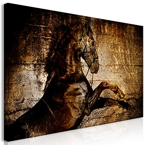 murando Cuadro Mega XXXL Caballo 200x100 cm Cuadro en Lienzo en Tamano XXL Estampado Grande Gigante Imagen Para Montar por uno Mismo Decoración De Pared Impresión DIY Animales Semental g-C-0369-ak-e