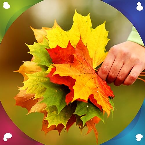 Imágenes de Autumn Live